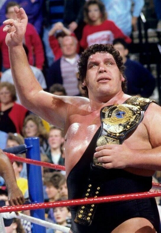 525872 ANDRE THE GIANT Raw Wrestling 36x24 WALL PRINT POSTER