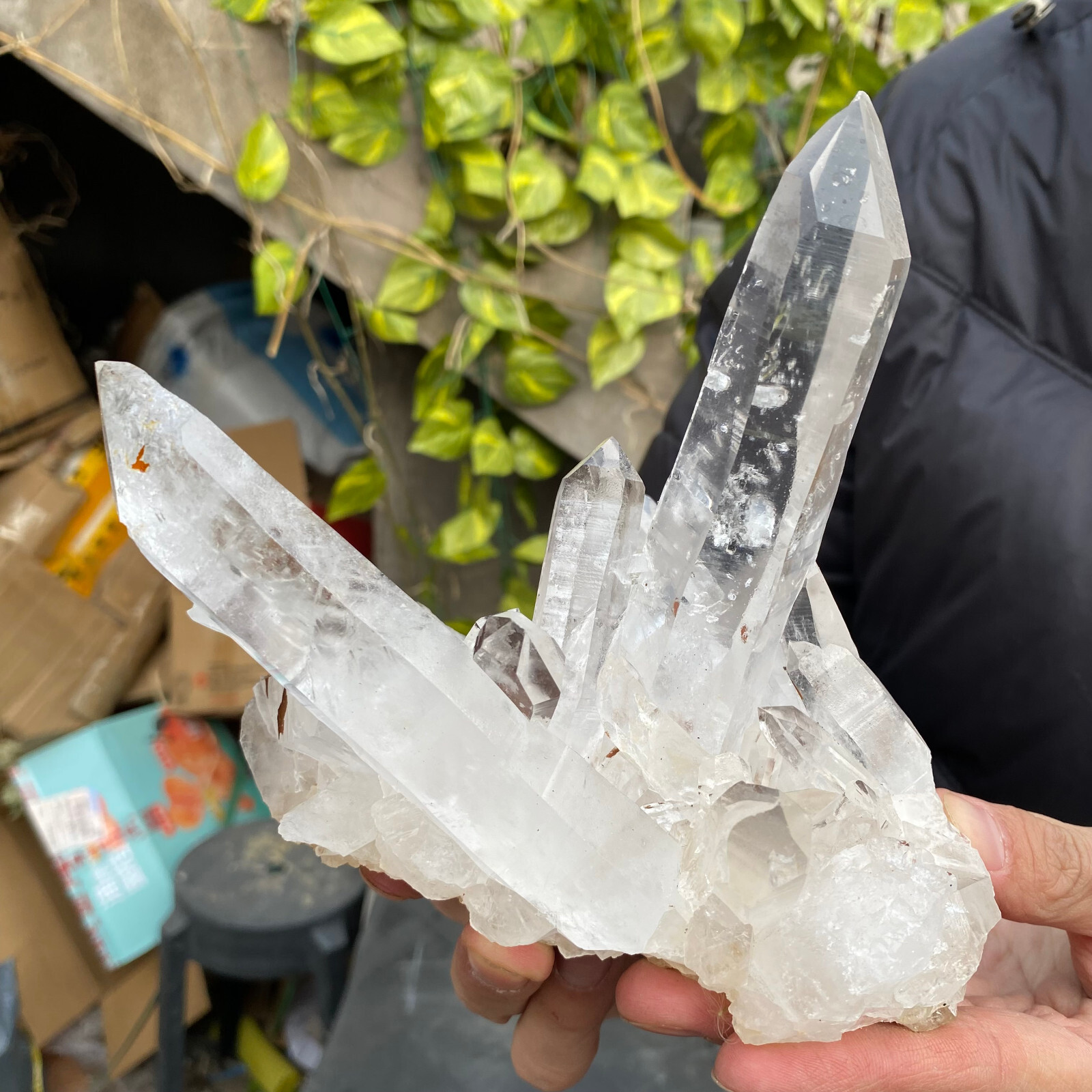 2.3LB A+Large Natural clear white Crystal Himalayan quartz cluster /mineralsls