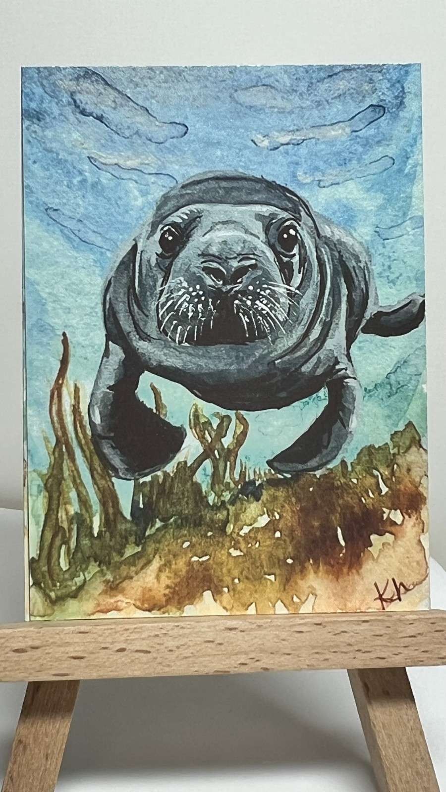 ACEO PRINT Manatee \
