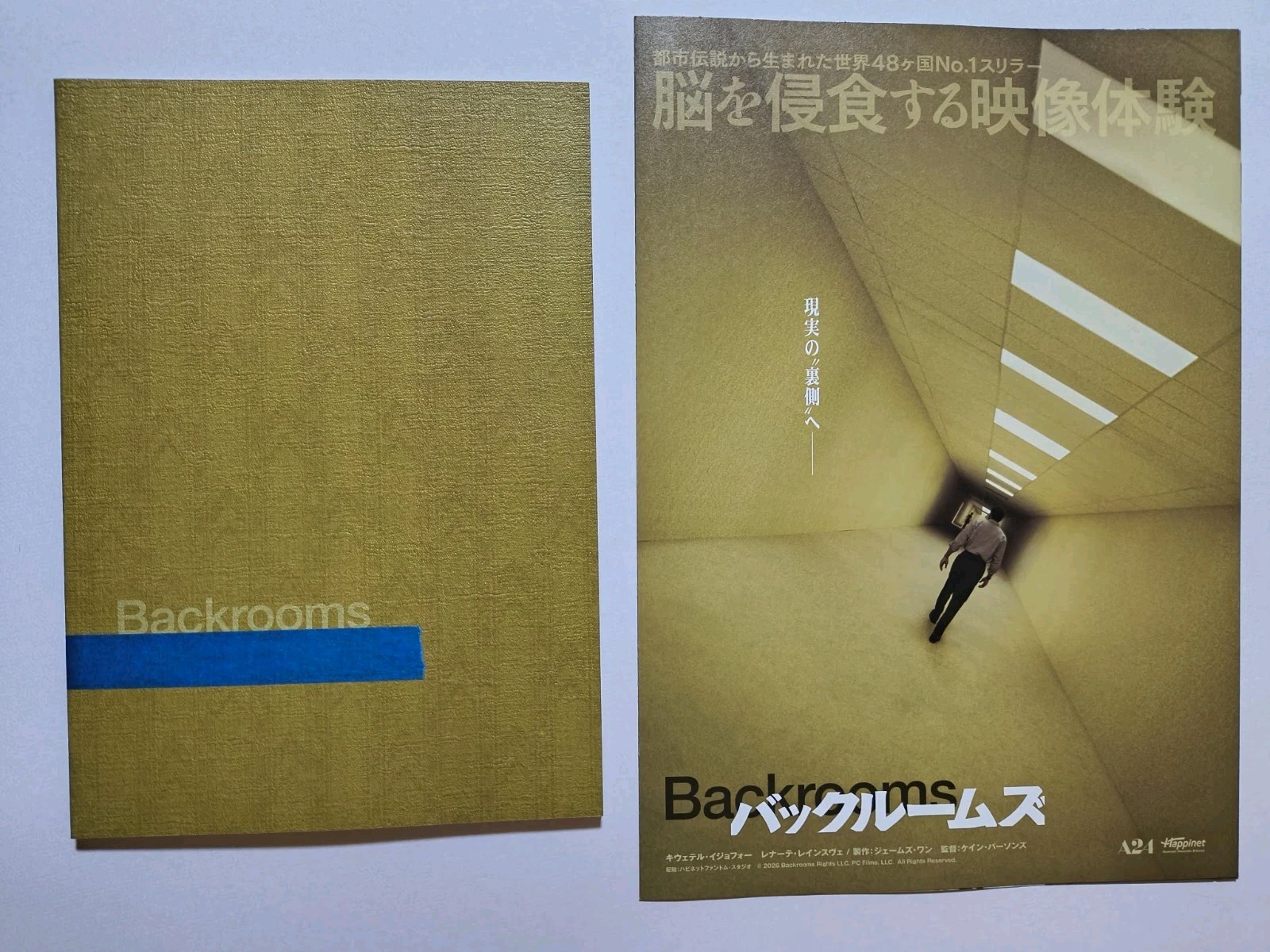 A24 Backrooms Japanese Brochure 2026 Renate Reinsve Kane Parsons