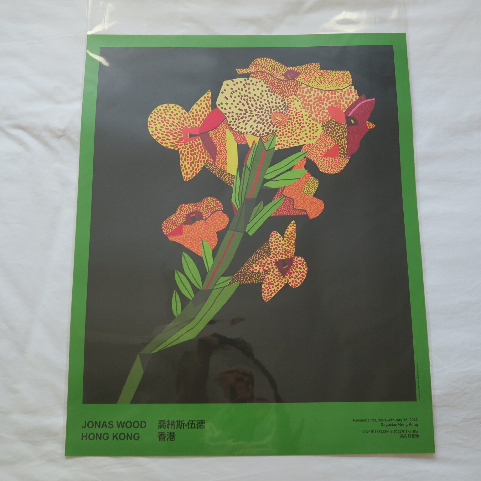 JONAS WOOD Poster YELLOW FLOWER With Lines GREEN BACKGROUND Hong Kong 2021 BOOK