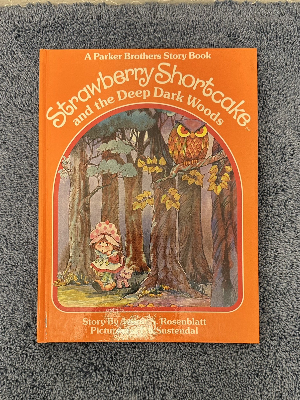 Vintage 1983 Strawberry Shortcake and the Deep Dark Woods 1st Ed Rosenblat