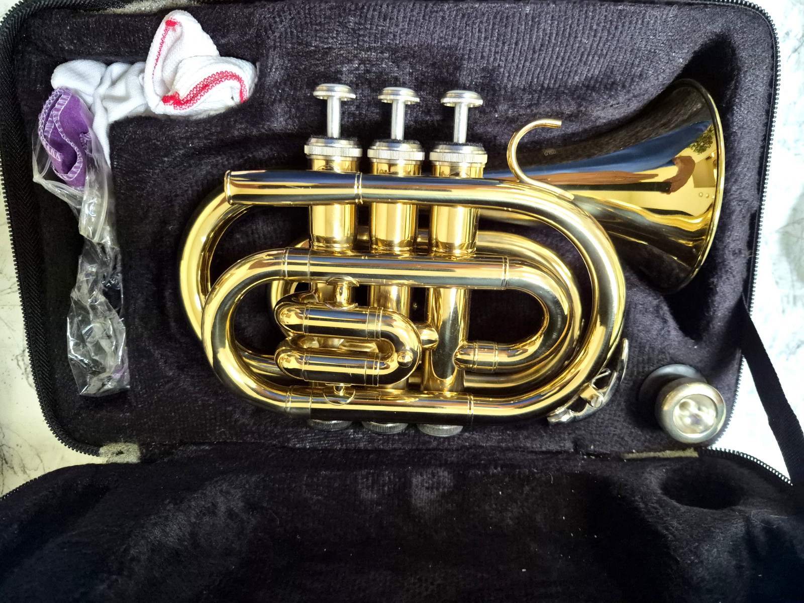 ammoon Bb Flugelhorn 3 Valve Gold Brass w/ Mouthpiece Case Brand New