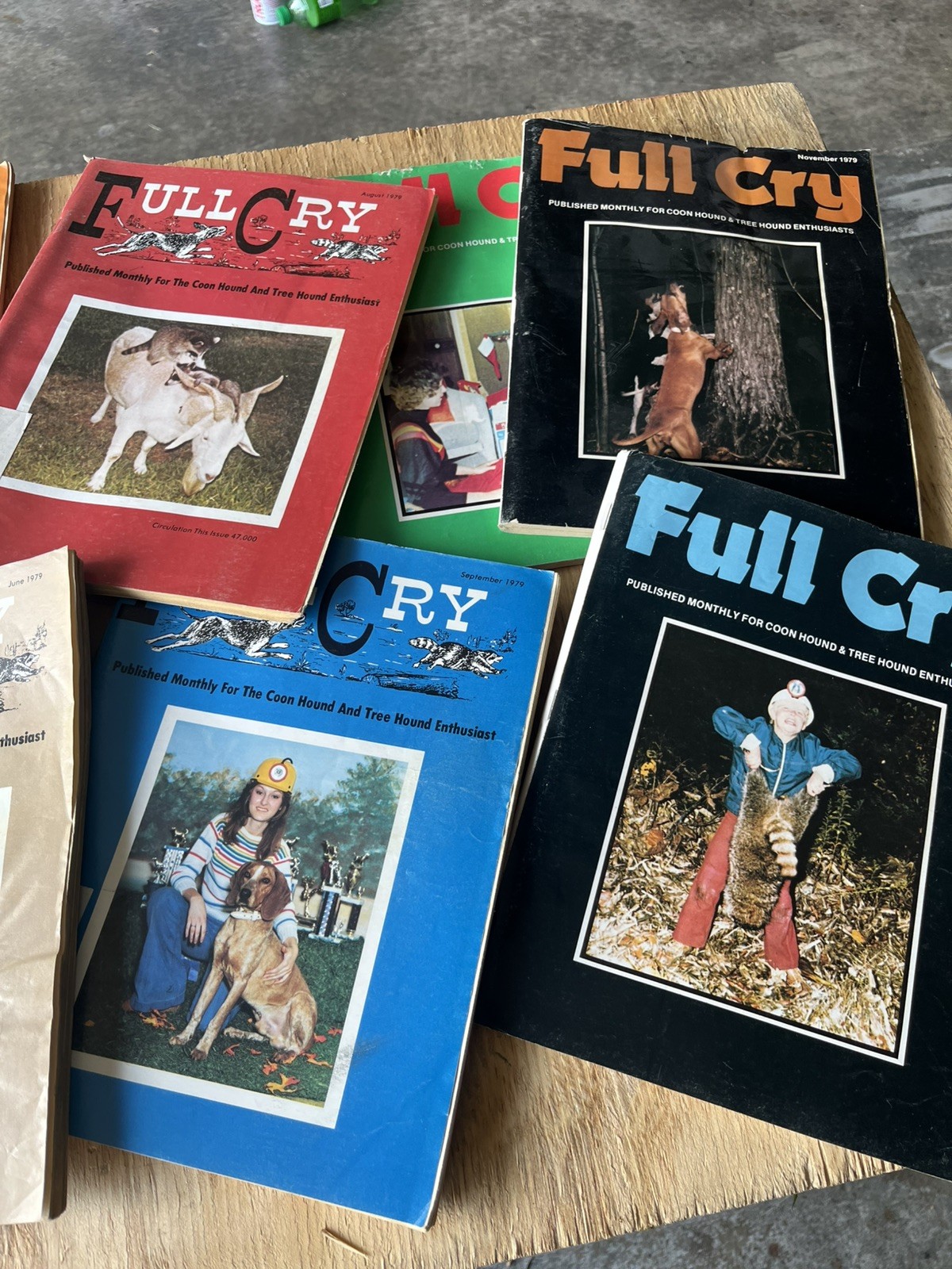 1979 Full Cry Coon And Tree Hound Vintage Magazines 11 Issues