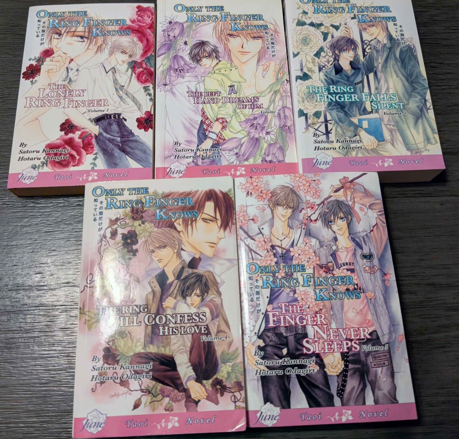 Only the Ring Finger Knows Volumes 1 - 5 COMPLETE COLLECTION Yaoi BL Novel RARE