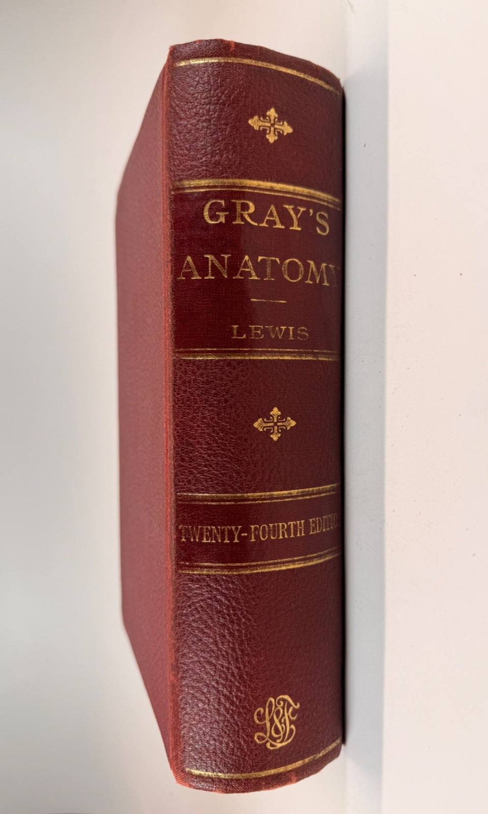 1944 Gray’s Anatomy Human Body Henry Gray 24th Edition Medical Hardcover