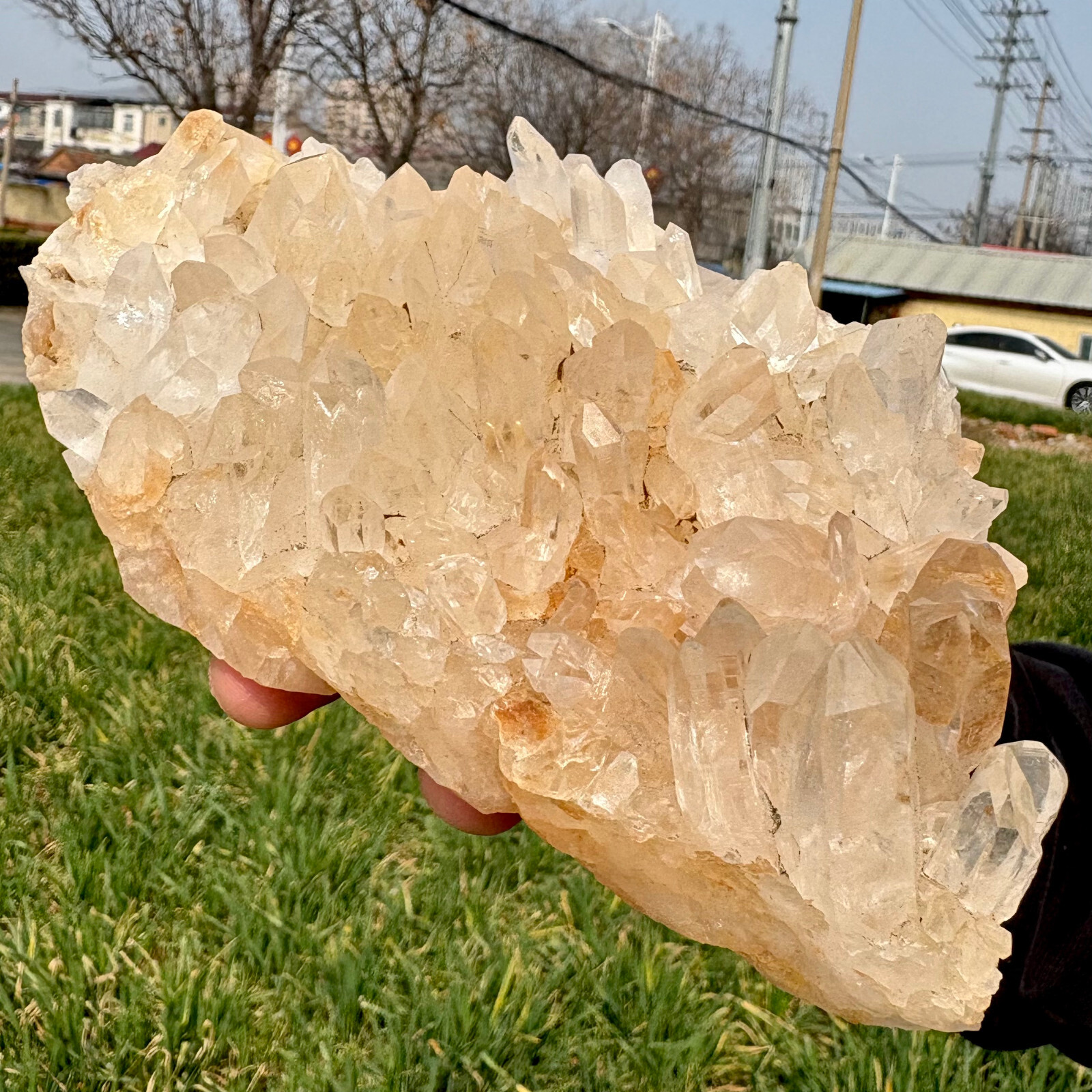 2.33LB Natural Clear White Quartz Crystal Cluster Rough Specimen Healing Stone