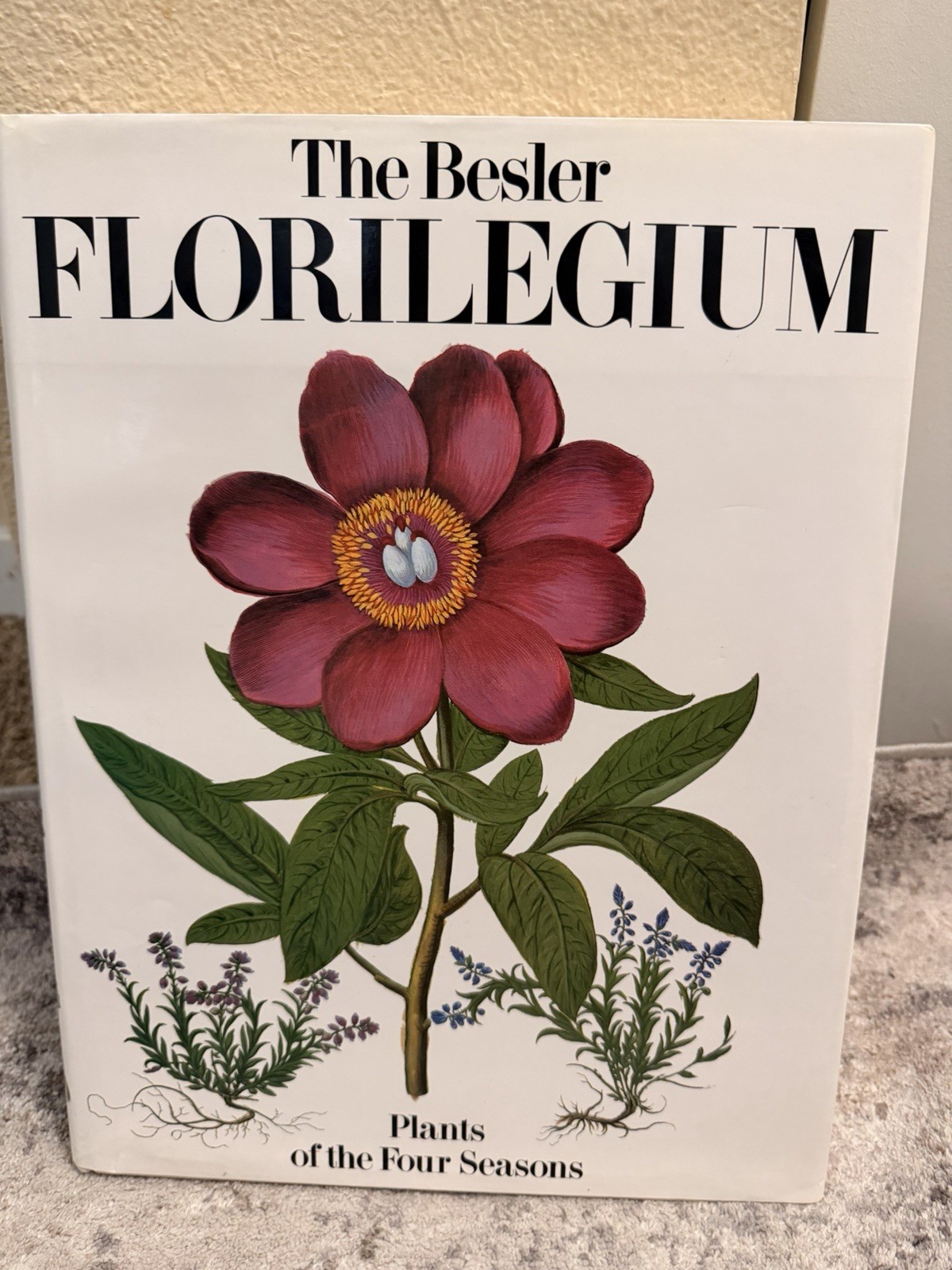 Huge The Besler Florilegium Plants of the Four Seasons (In Slipcase)