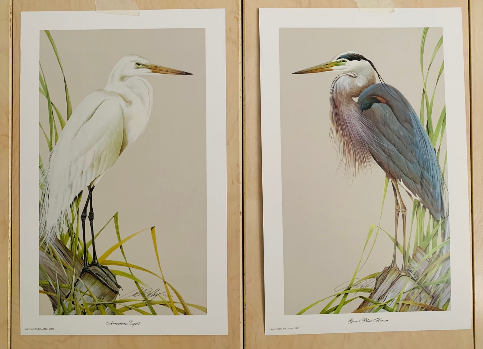 Heron/Egret Heron/Egret