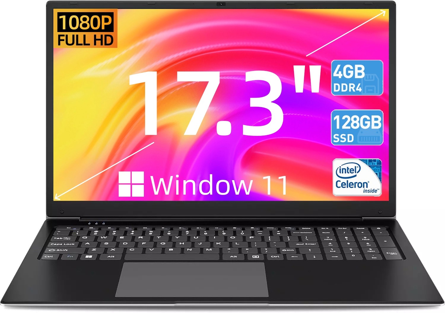 2025 SGIN 17.3
