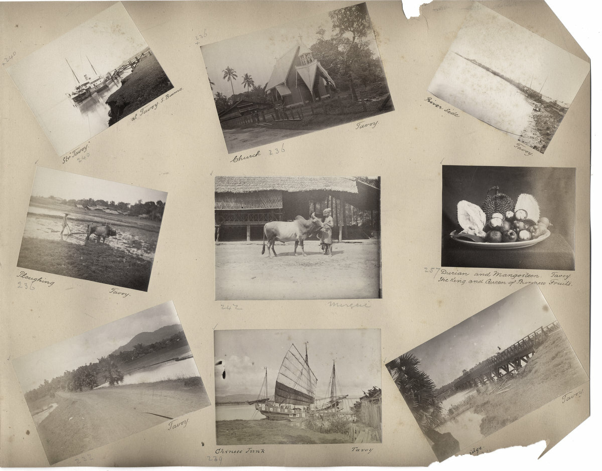 c.1870\'s PHOTO BURMA - VARIOUS SCENES TAVOY