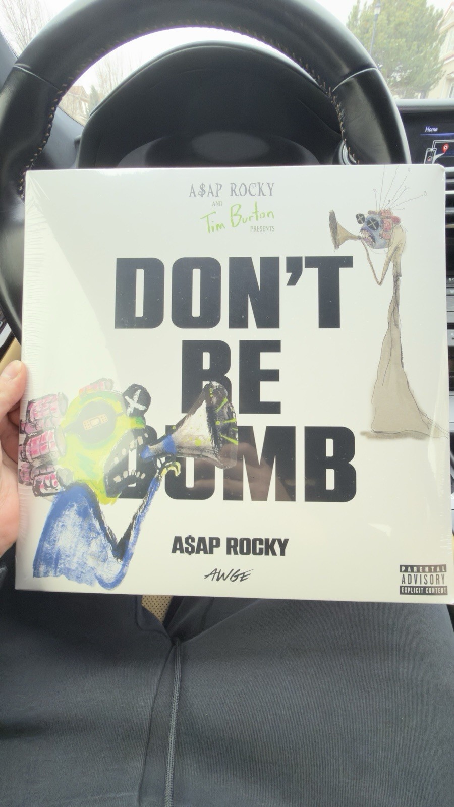 A$AP Rocky Don\'t Be Dumb AWGE Pink Green Vinyl Record A$AP Rocky Don\'t Be Dumb AWGE Pink Green Vinyl Record