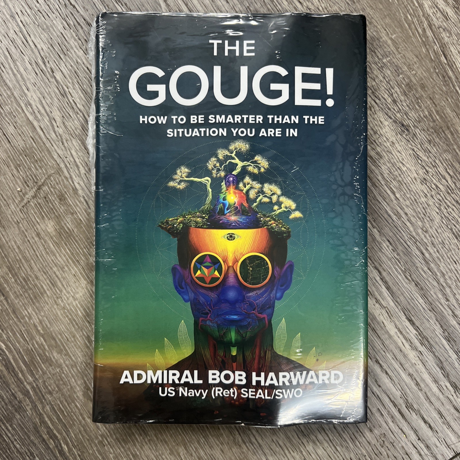 The Gouge : How to Be Smarter Than the Situation You Are In Bob