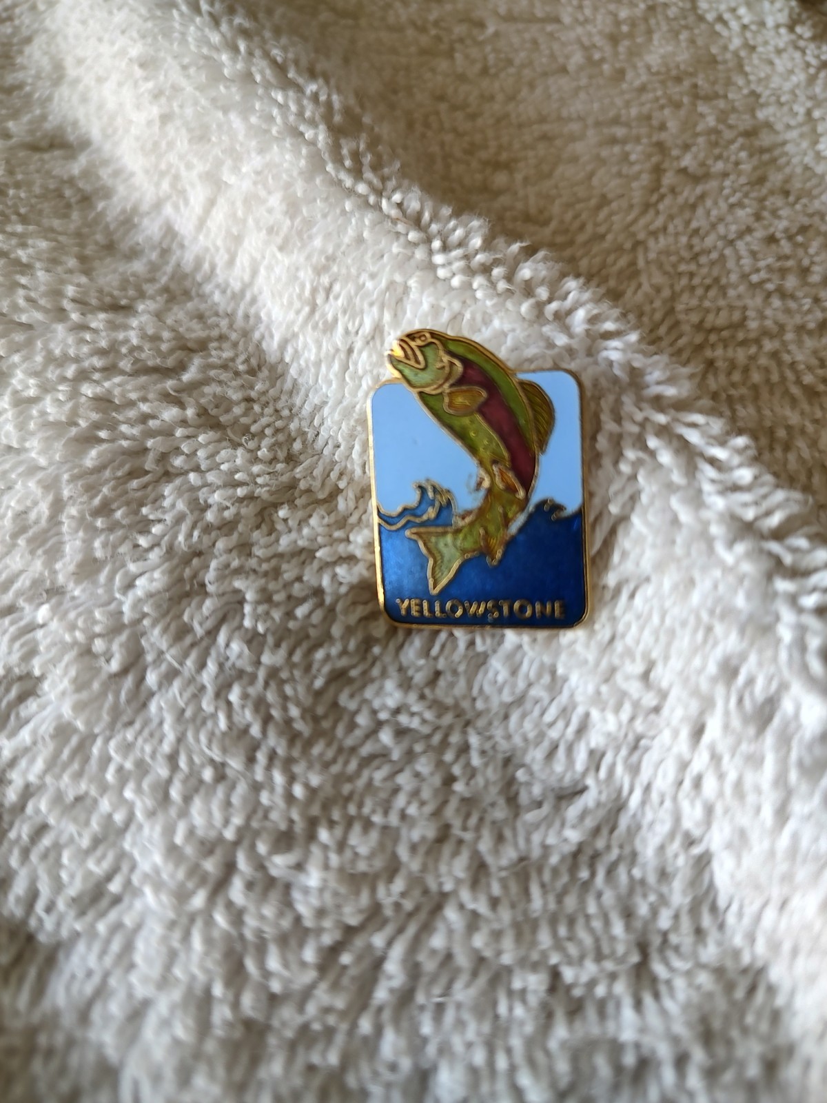 Vintage Yellowstone Park Enamel Fish Pin Vintage Yellowstone Park Enamel Fish Pin