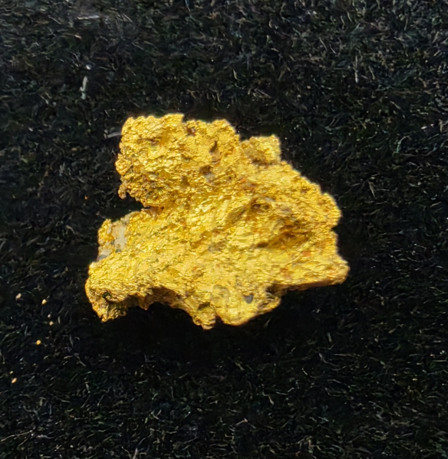.409g Round Mountain Nye Co NV Crystallized Gold Nugget