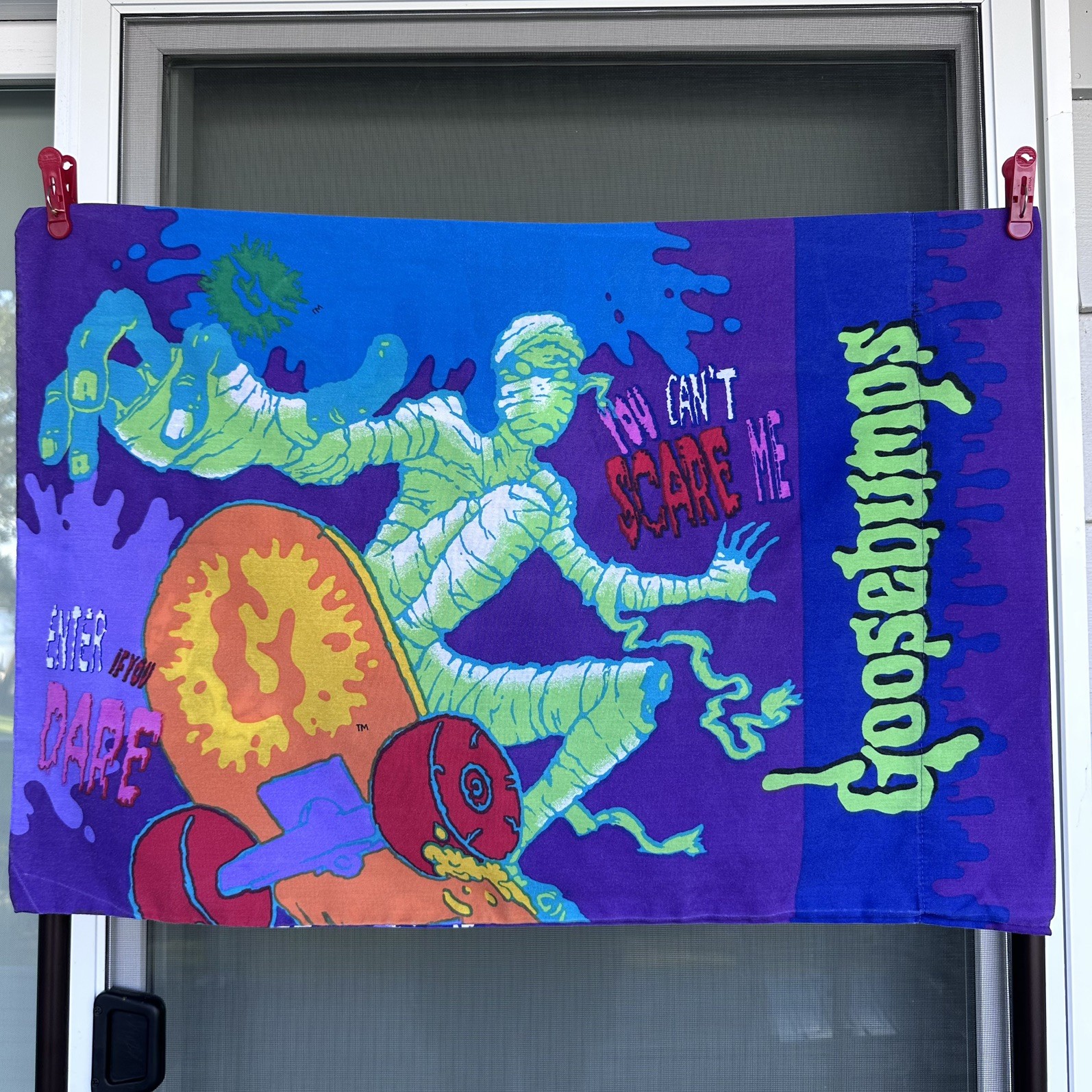 Vtg Goosebumps Pillowcase Spooky Skeleton Skateboard Mummy RL Stine 90s Retro