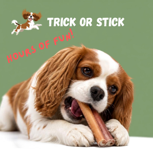 6 inch EXTRA THICK Bully Sticks  For Dogs - Premium Dog Chew