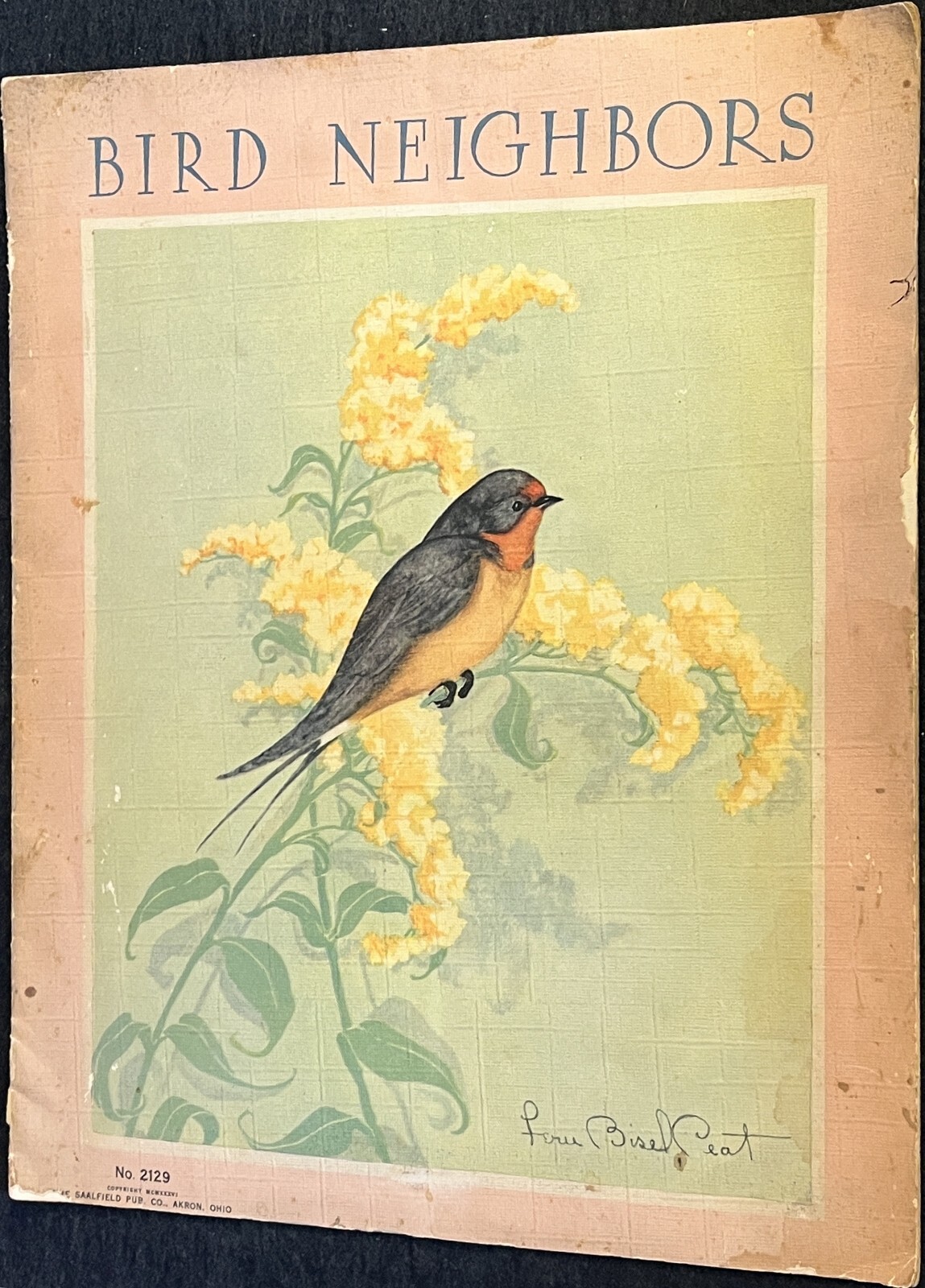 Vintage 1936 Book Bird Neighbors Saalfield Pub. Co. #2129 Linen Paper 12.5\