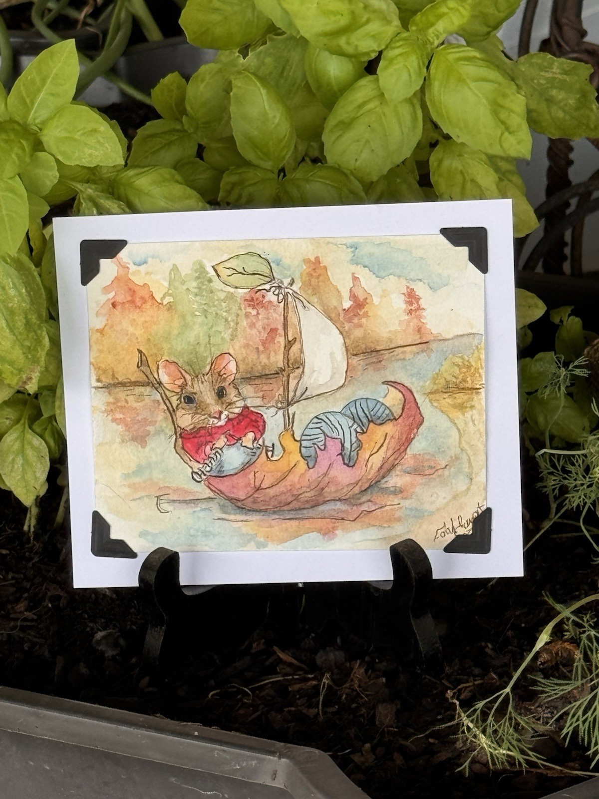 Origional Watercolor  5\