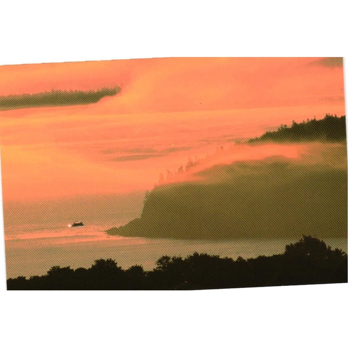Bar Harbor Maine Postcard Bald Porcupine Island Morning Fog Ed Elvidge 207