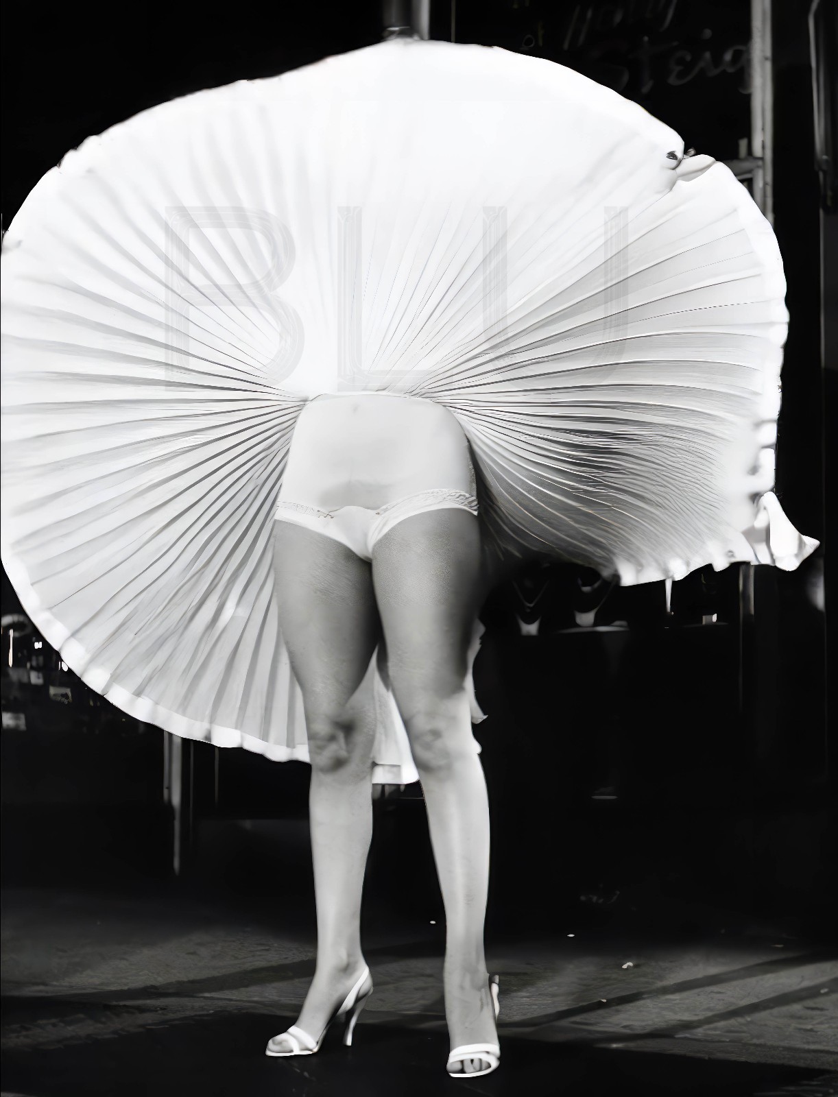 Marilyn Monroe's Legs 14 x 11