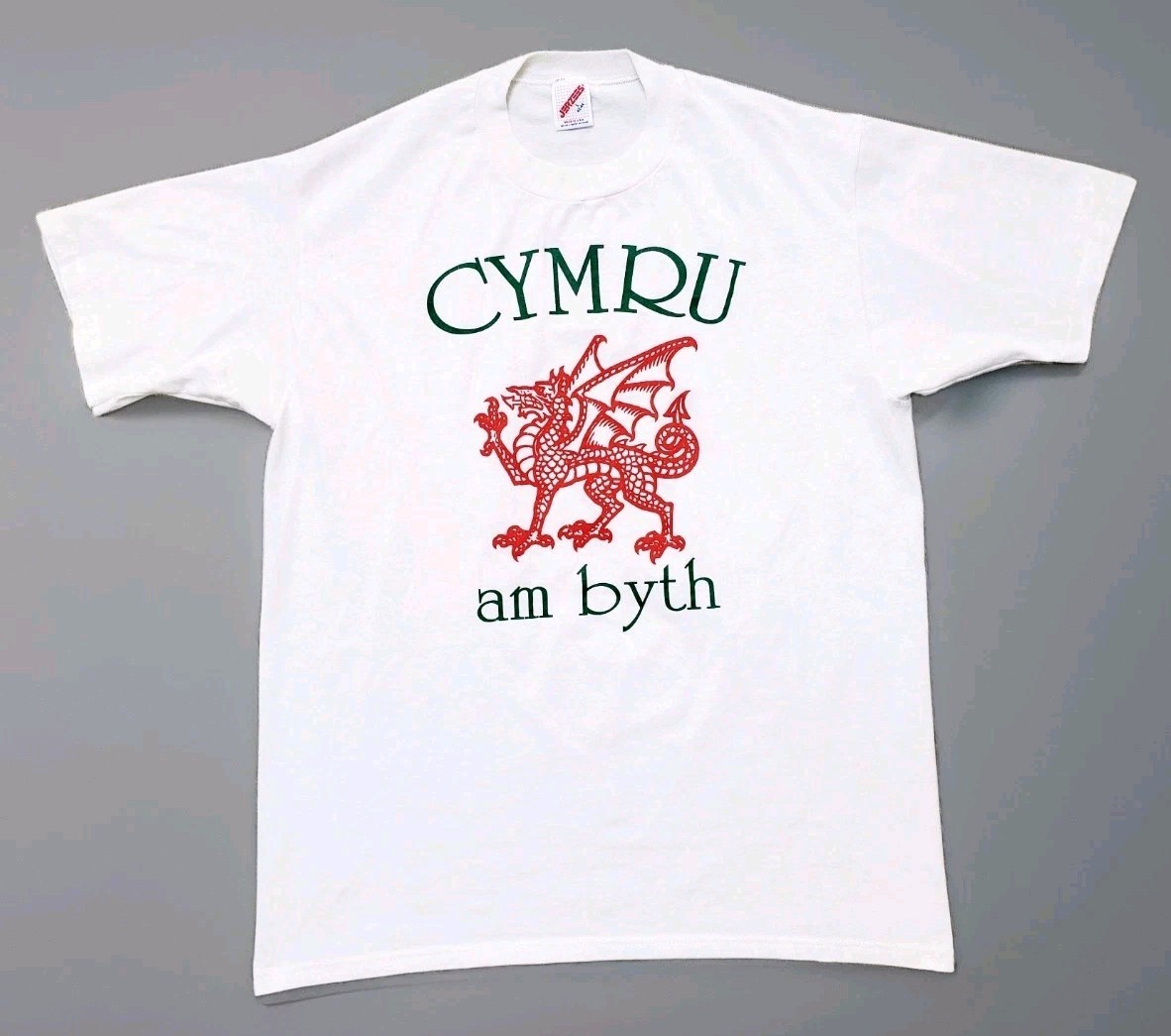 Vintage 1980s Cymru Am Byth Single-Stitch JERZEES Welsh Dragon T-Shirt~USA~Large