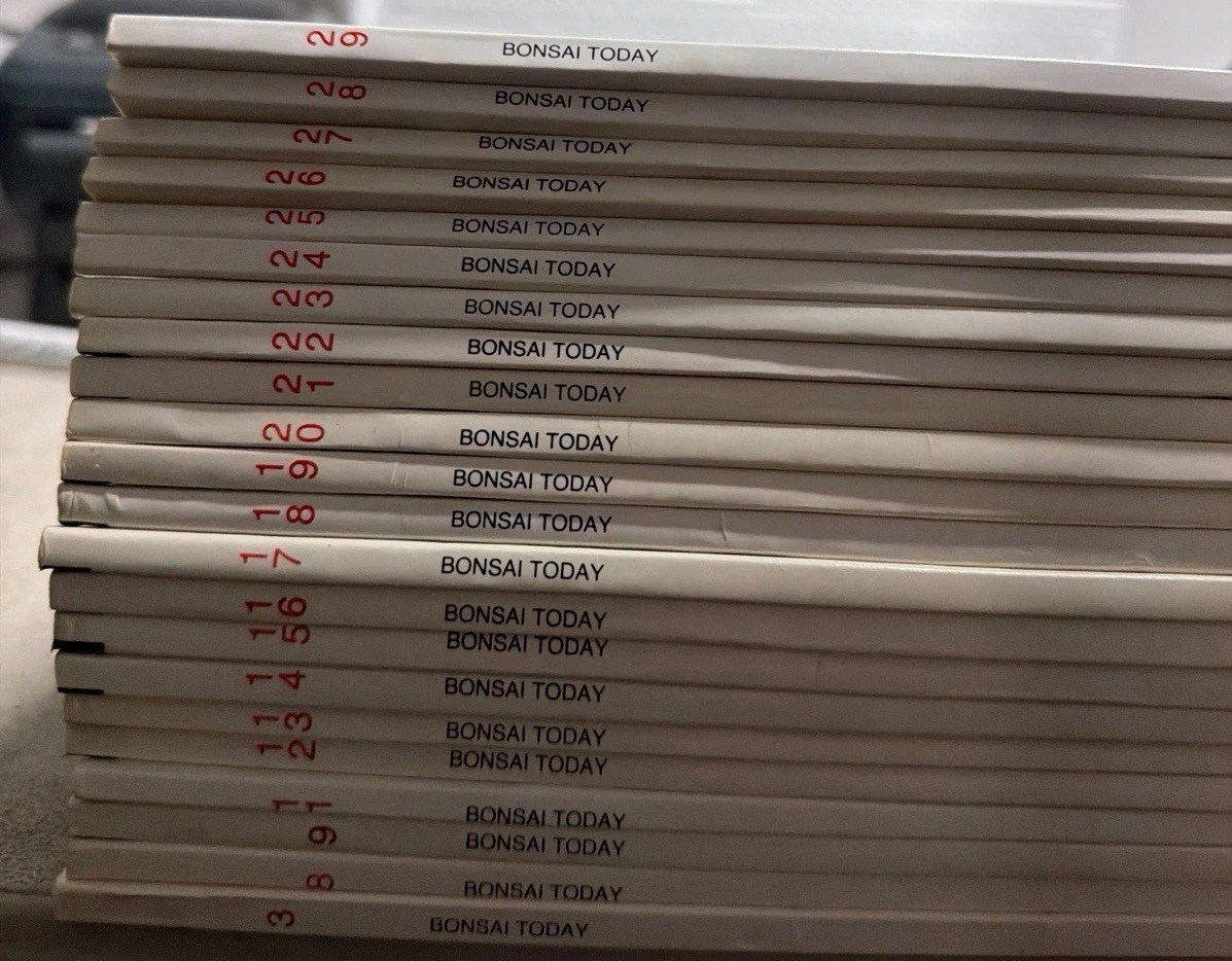 Bonsai Today Magazine Huge Lot of 75 Issues (1989-2003) Near Complete Runs