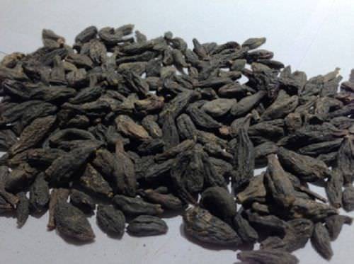 HARITAKI BLACK CHEBULIC MYROBALAN TERMINALIA CHEBULA HARDA - 