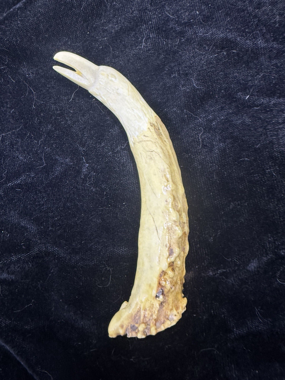 Vintage hand carved Eagle ,native American made deer antler, signed