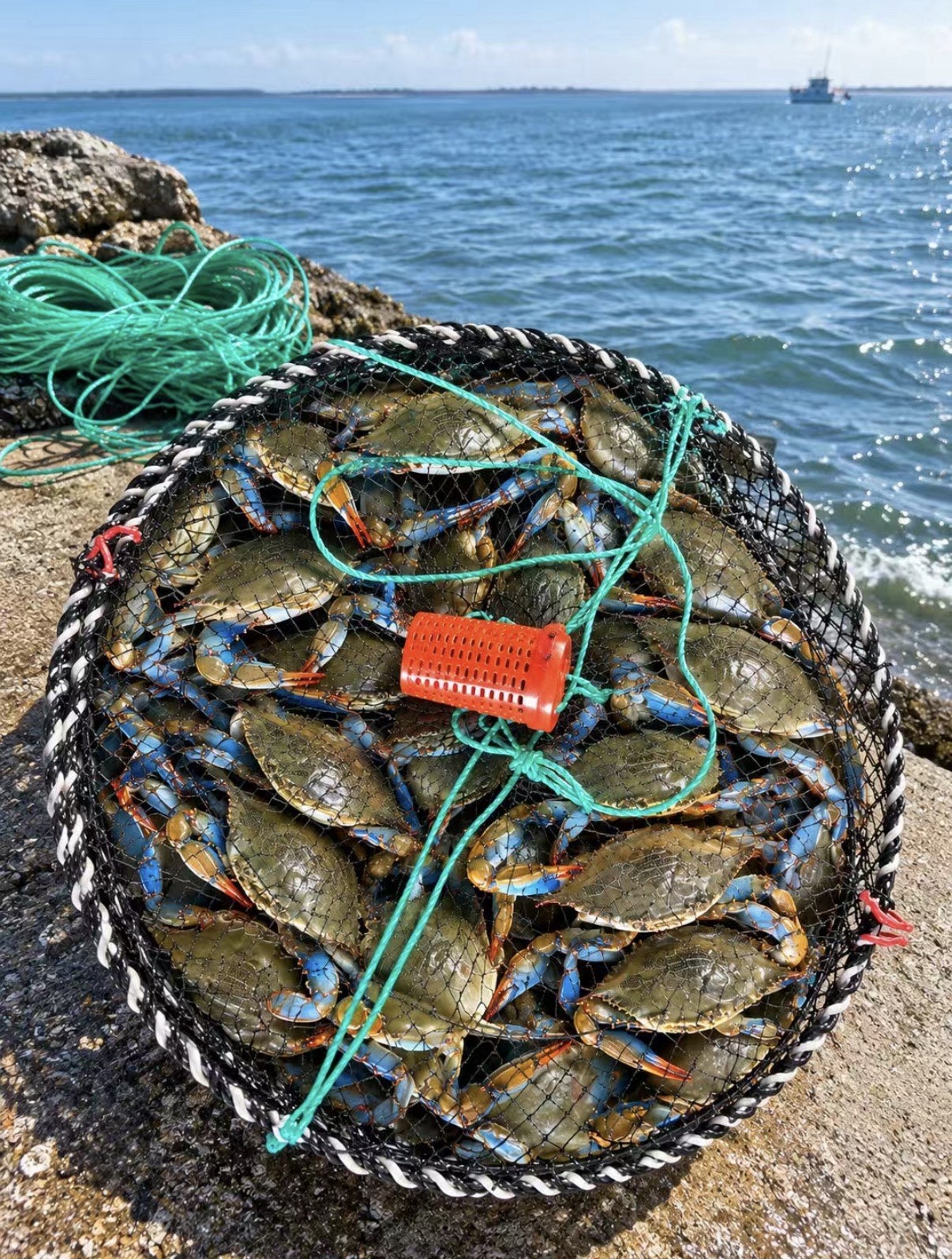 Thicker 17.8-inch diameter crab/fishing trap – includes 20 meters of rope.