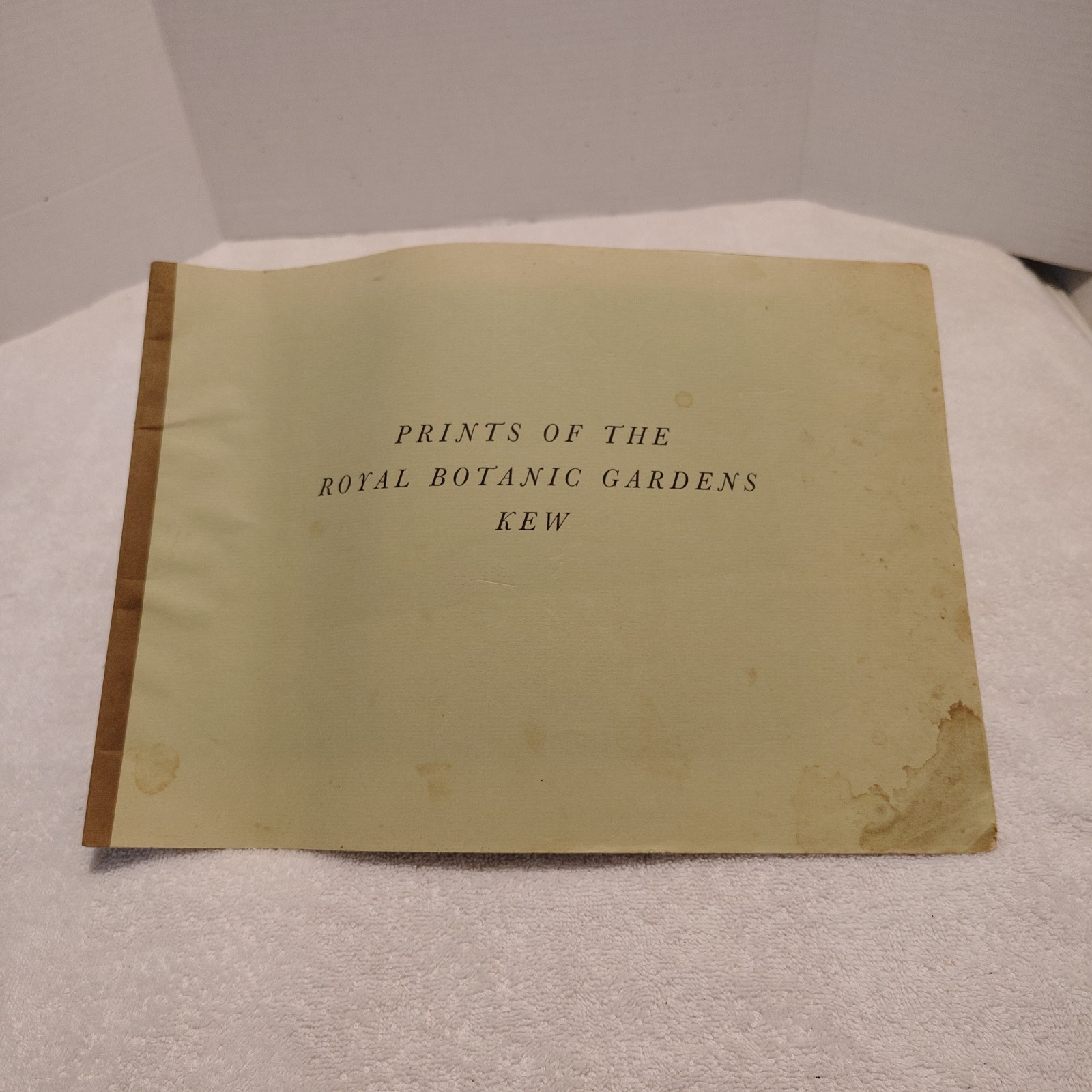 Prints of the Royal Botanic Gardens Kew ~ 7 Pages 10\ Prints of the Royal Botanic Gardens Kew ~ 7 Pages 10\