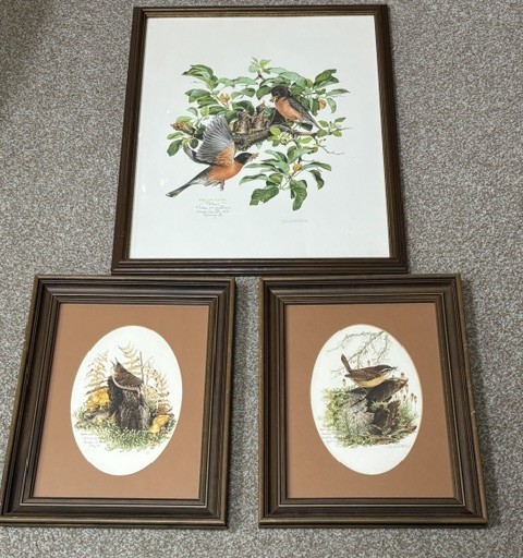 3 Bird Lithographs- Don Whitlatch (Robins, Carolina Wren, House Wren) DISCOUNTED