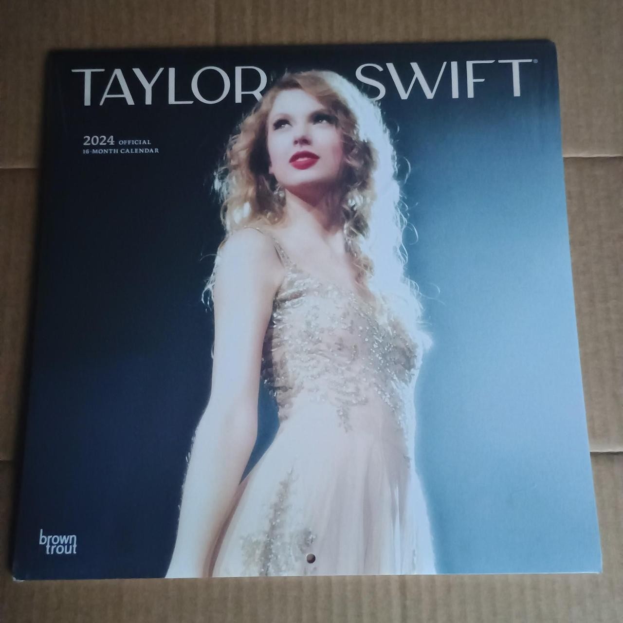 Taylor Swift 2024 Browntrout calendar