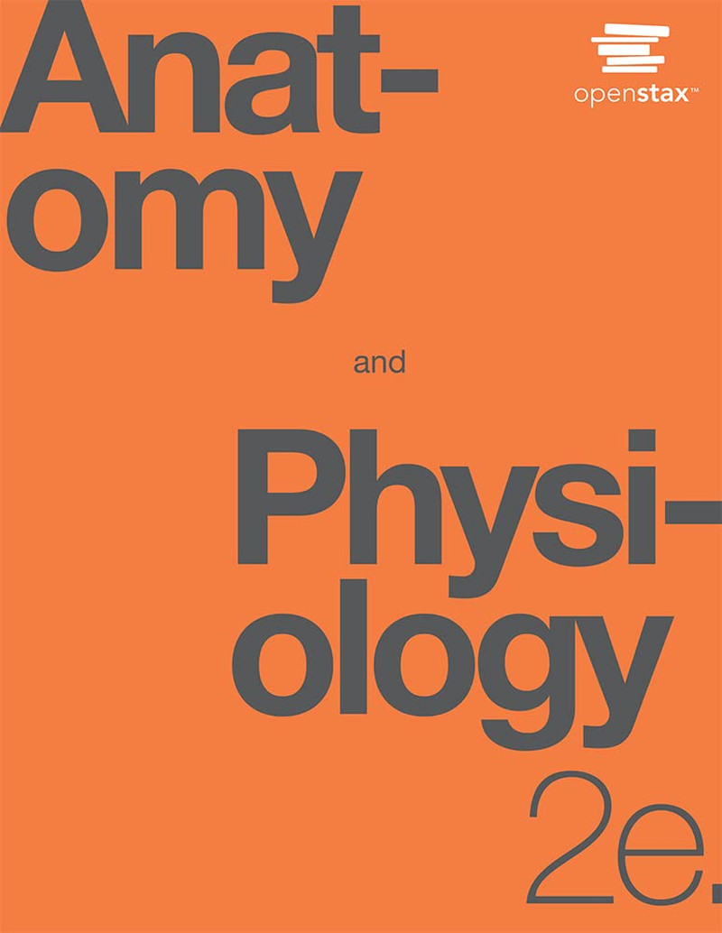 Anatomy and Physiology 2E by Openstax Paperback-Brand New , Pack of 1 and 2 Anatomy and Physiology 2E by Openstax Paperback-Brand New , Pack of 1 and 2
