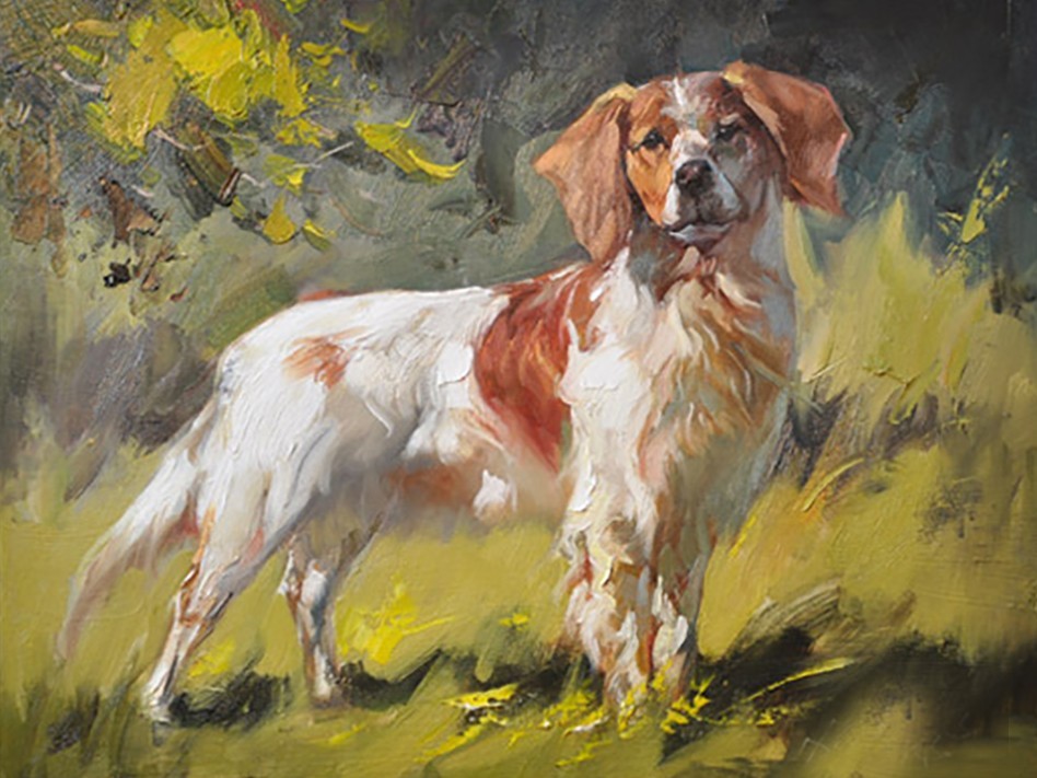 Hand-painted oil painting art animal impression cute Dog on Canvas 16\