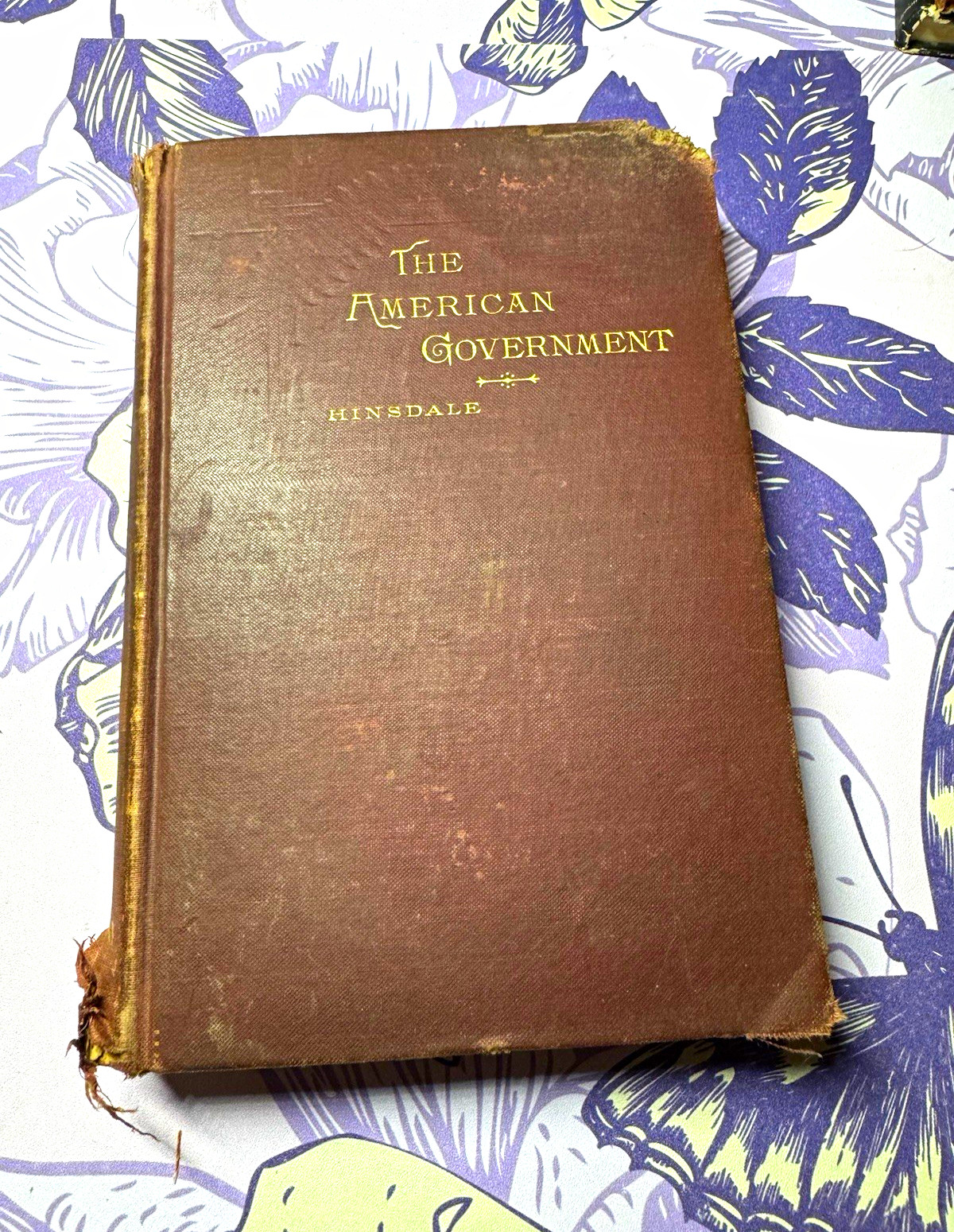 1895 The American Government National & State B.A. Hinsdale Antique Hardcover