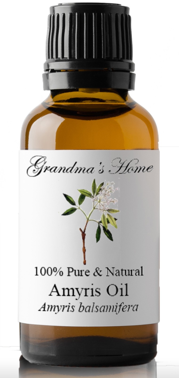 Essential Oils - 30 mL (1 oz) - 100% Pure Therapeutic Grade Oil - 60+ Options