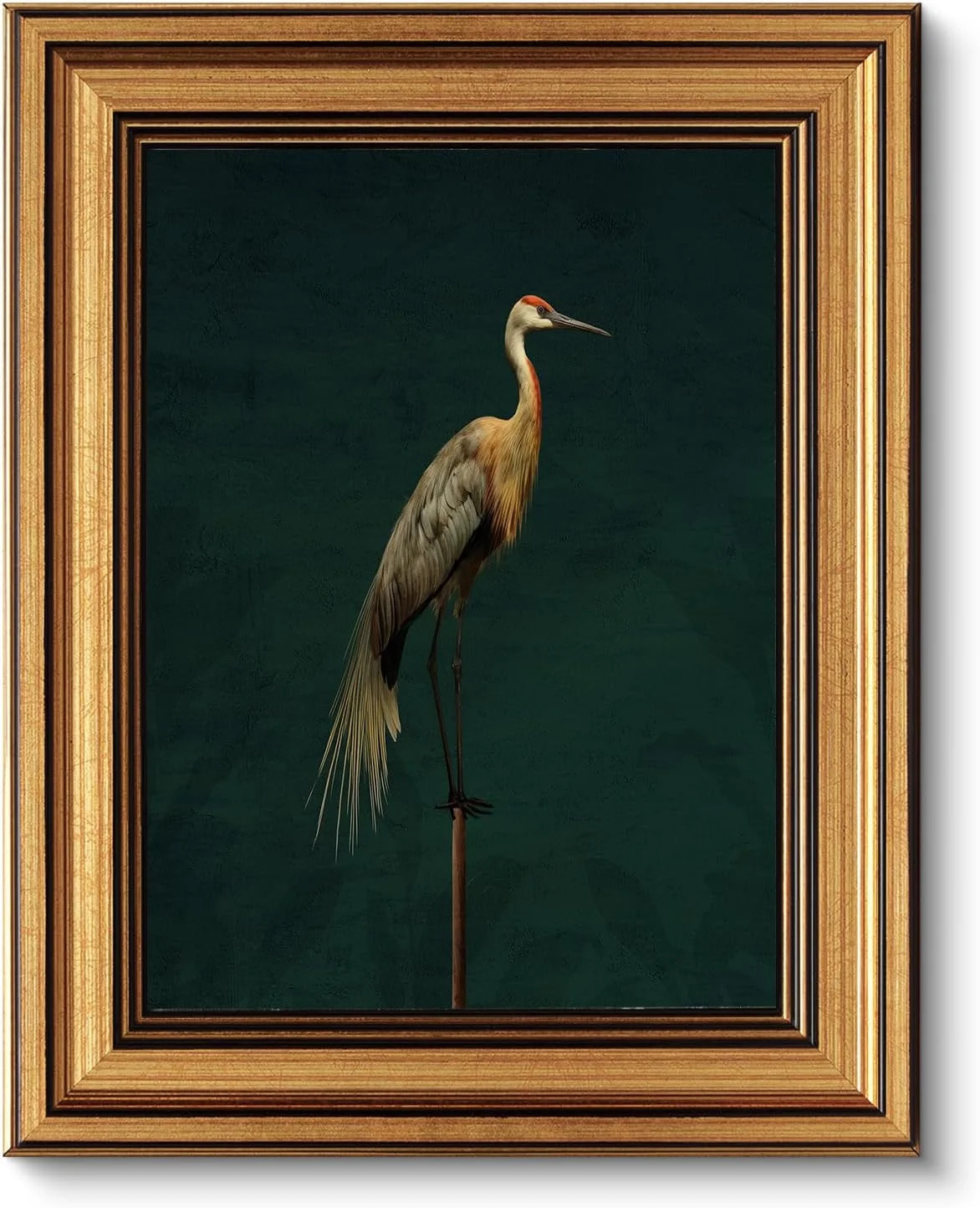 Vintage Gold Framed Vintage Bird Wall art Antique Flying Bird Oil Painting Ca...