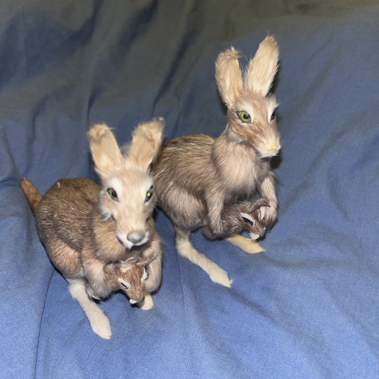 Pair Vintage Kangaroo & Joey Real Fur Taxidermy Figurine Glass Eyes 5”tall Pair Vintage Kangaroo & Joey Real Fur Taxidermy Figurine Glass Eyes 5”tall