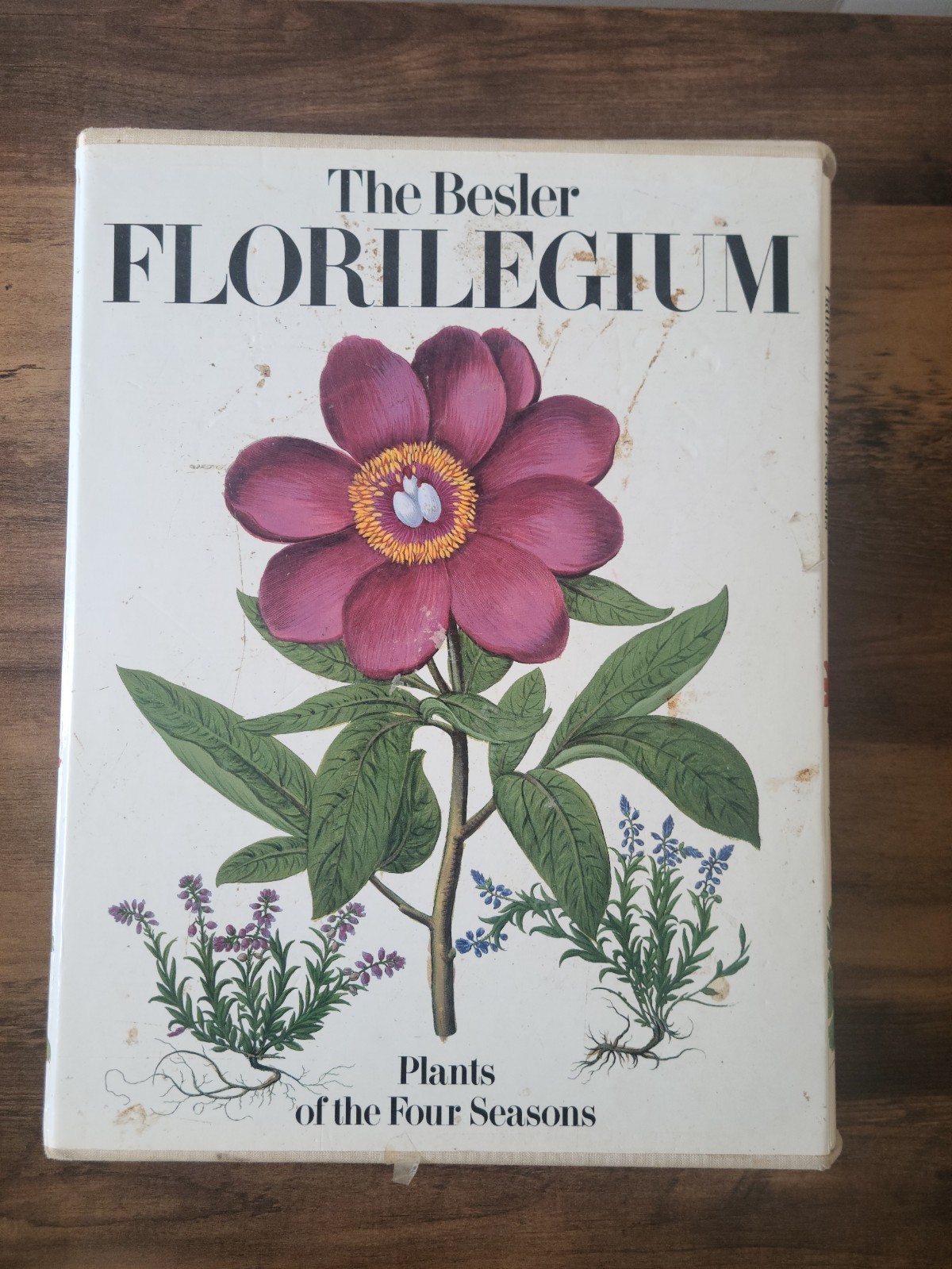 Huge The Besler Florilegium Plants of the Four Seasons (In Slipcase)