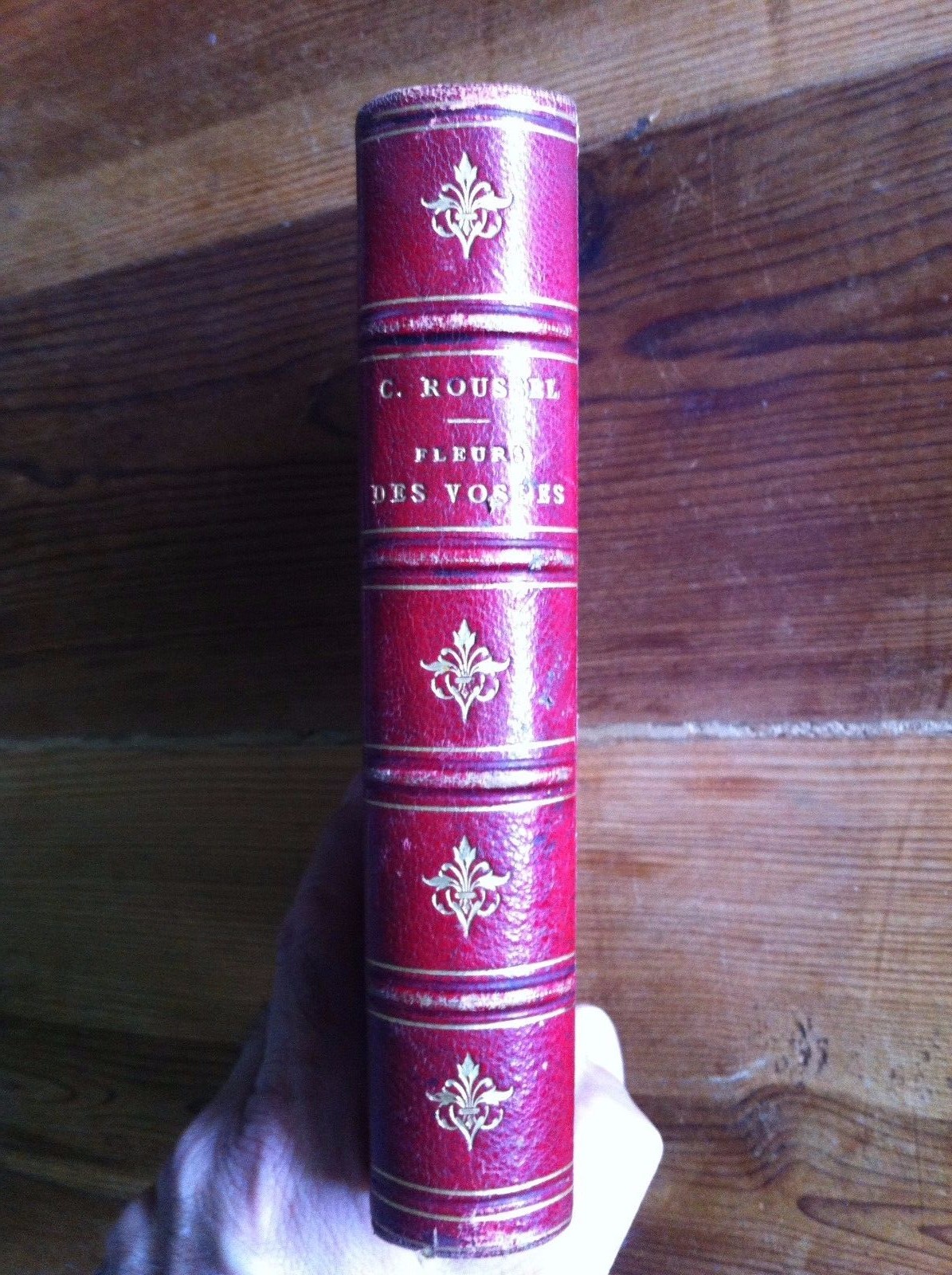 L\'Abbé C. Roussel Fleurs des Vosges 1876 VERY RARE Poetry French Paris Flowers 