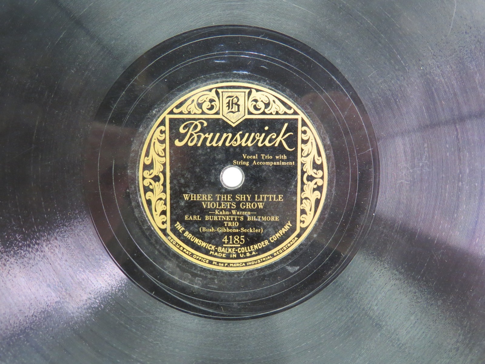 Earl Burtnett\'s Biltmore Trio - BRUNSWICK 4185 - I\'m Sorry Sally & Where The Shy