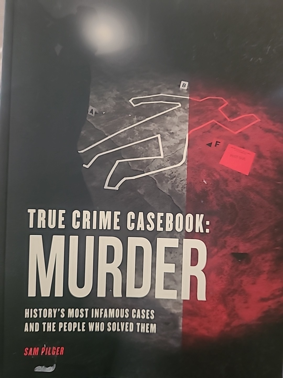 True Crime Casebook: Murder by Sam Pilger (2022, paperback) rare true crime