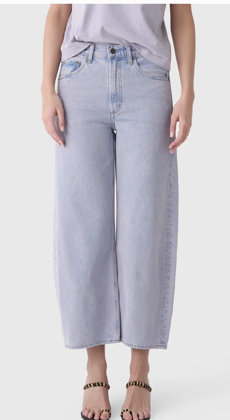AGOLDE Ren High Rise Wide Leg Jeans Aura Size 29 New With Tags Retail $258