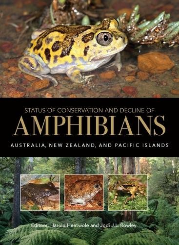 Harold Heatwole Status of Conservation and Decline of Amp (Hardback) (UK IMPORT) Harold Heatwole Status of Conservation and Decline of Amp (Hardback) (UK IMPORT)