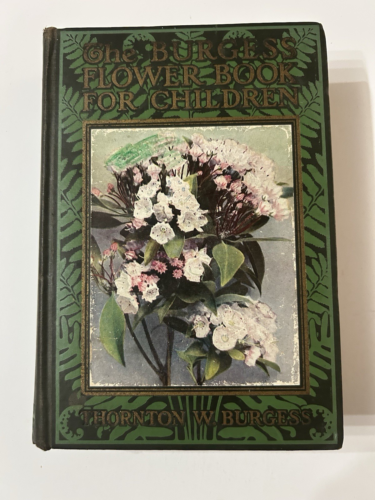 Vintage Antique 1923 Burgess Flower Book for Children First Edition Hardcover