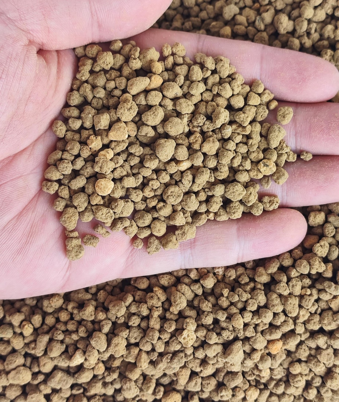 Akadama Soil for Cactus, Bonsai, Succulent Plants - 10 LB Hard-Grade Mix