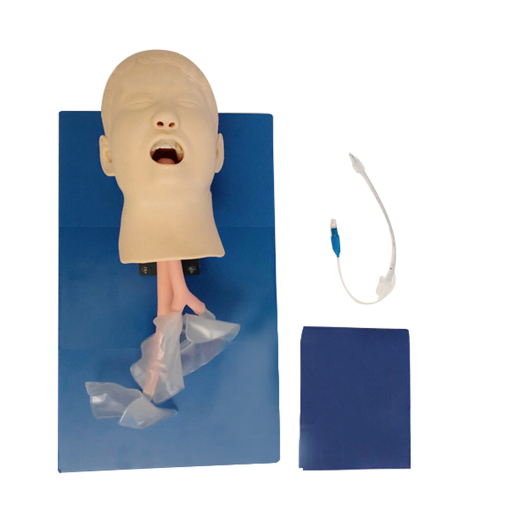Intubation Manikin Study Teaching Training Model Airway Management Trainer Model Intubation Manikin Study Teaching Training Model Airway Management Trainer Model