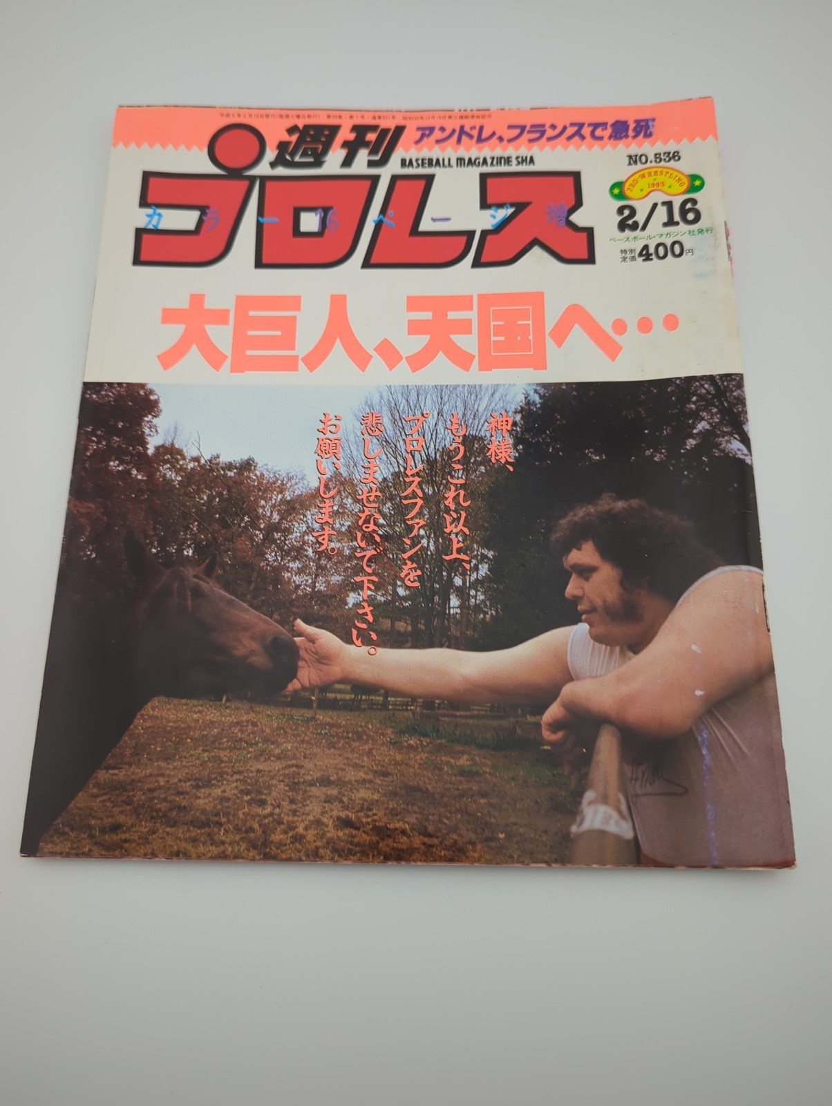 Weekly Pro Wrestling Magazine Issue 536 Feb 1993 Andre The Giant Memorial AJPW N