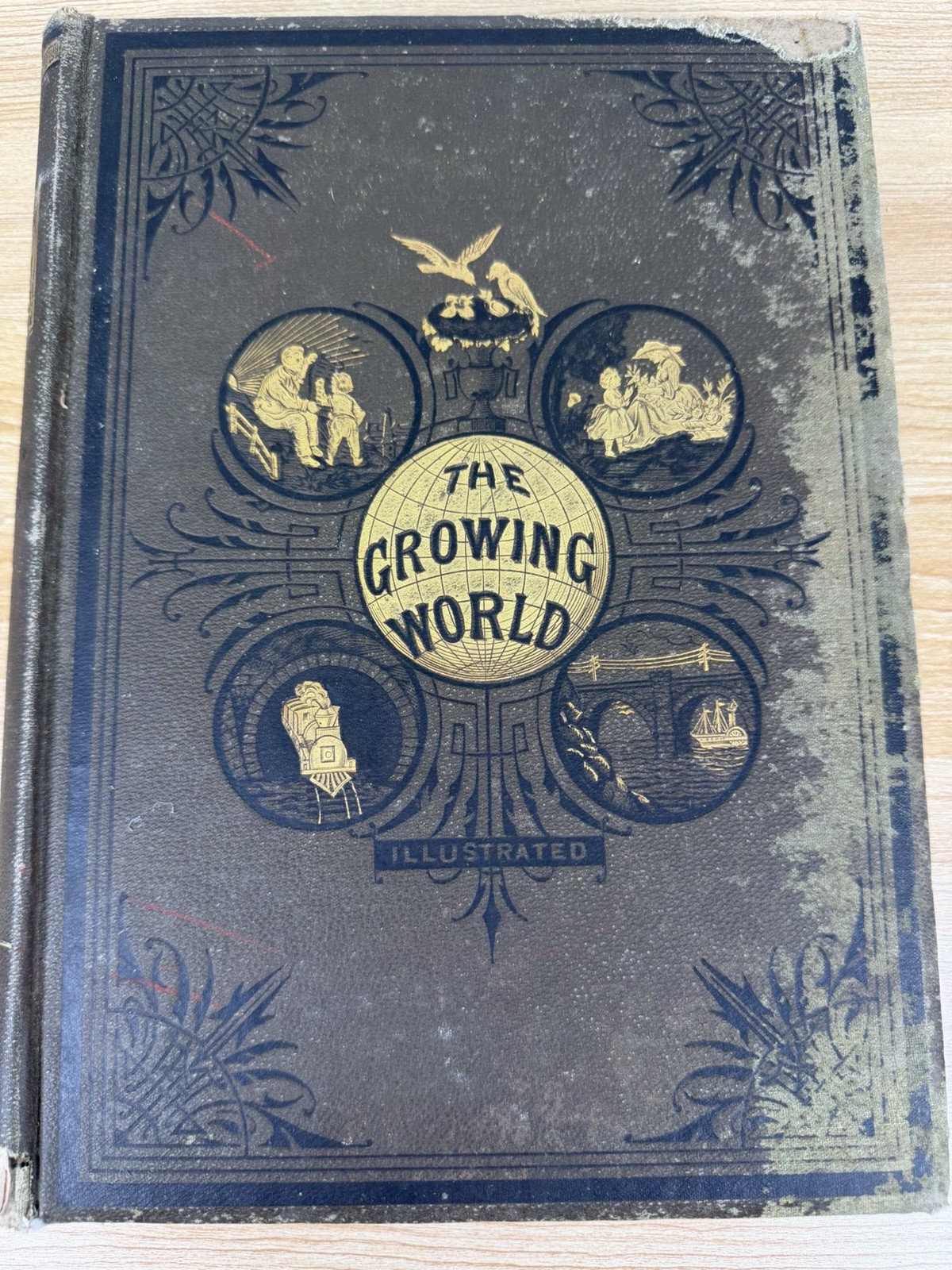 1880 The Growing World Progress Civilization Antique Illustrated Victorian Book